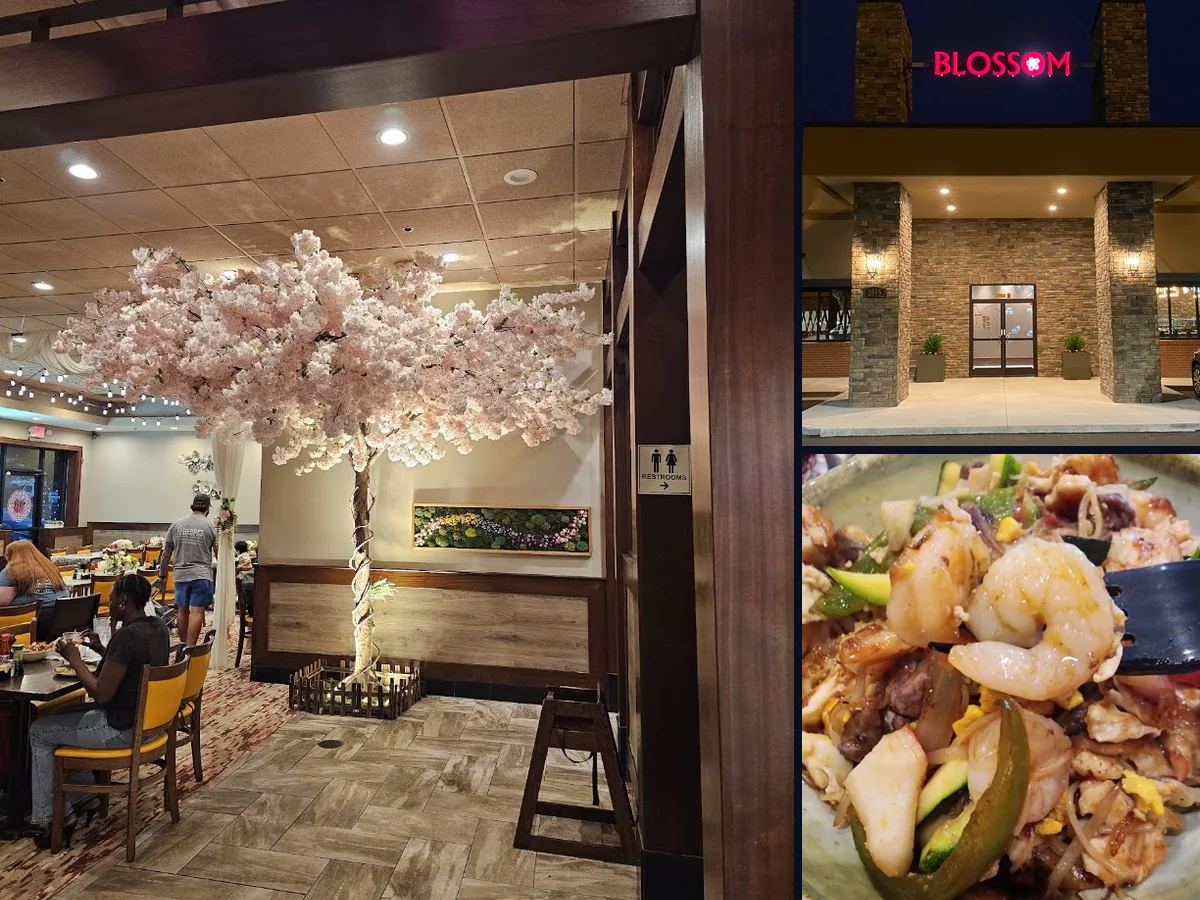 Buffet tables with a wide mix of Asian dishes.